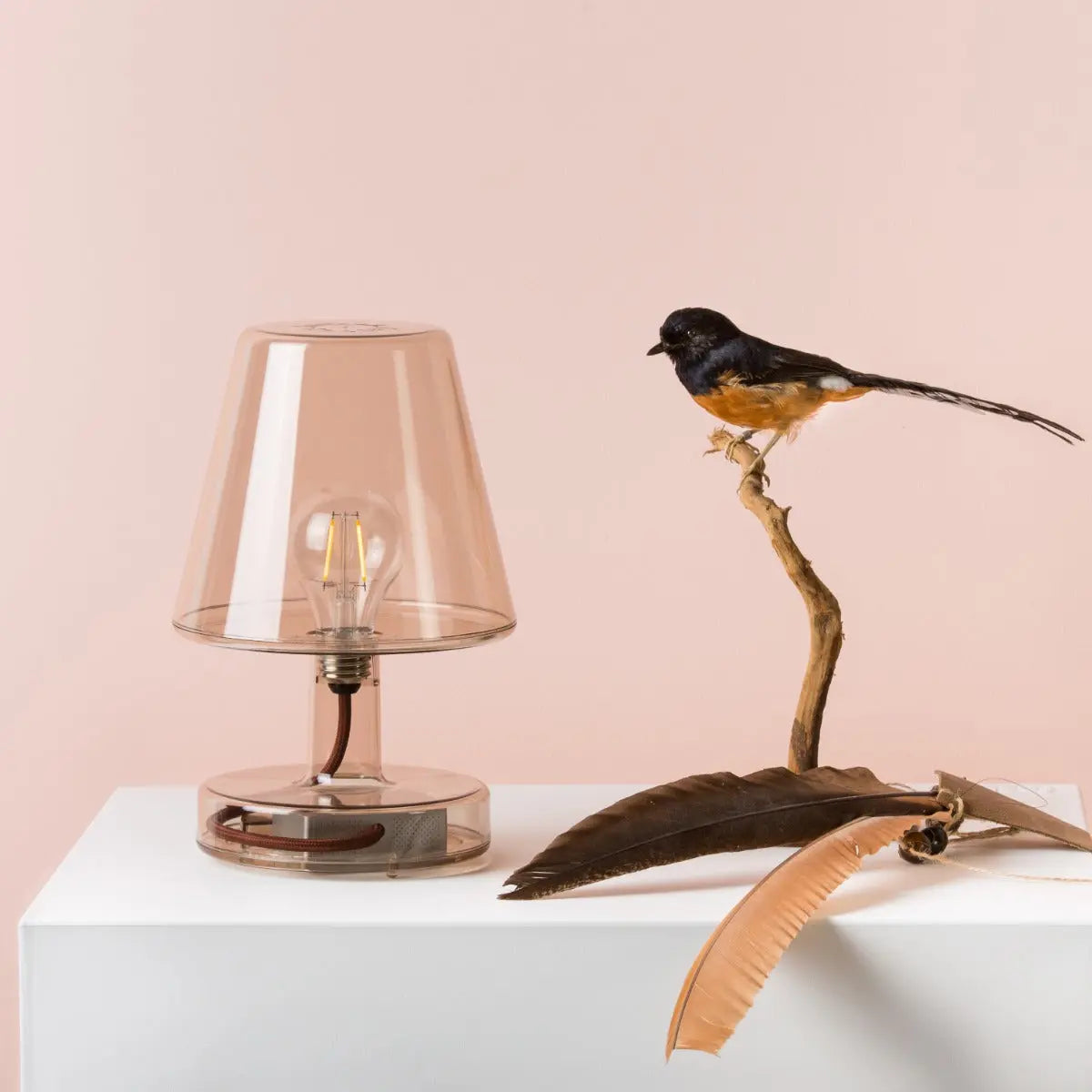 TableLights.com Fatboy Transloetje transparent table lamp Fatboy