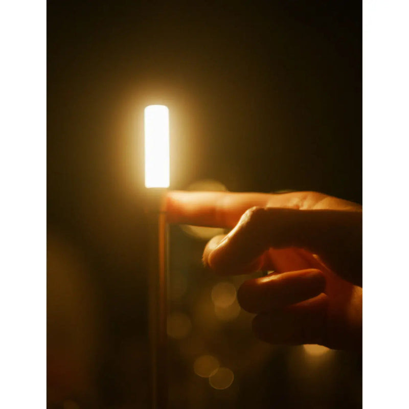 Graypants Wick portable table lamp, brass - DesertRiver.shop