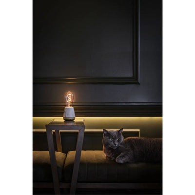 TableLights.com Humble One table lamp spare bulb Humble Lights