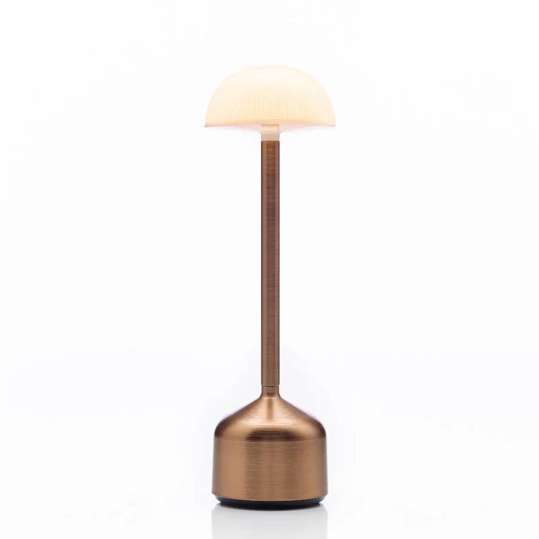 Tall Bronze Anodized Aluminum offers Table Lamp